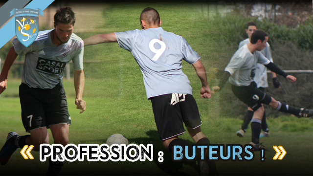 vds-profession-buteur