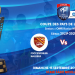 AfficheCoupePaysdeLoire2