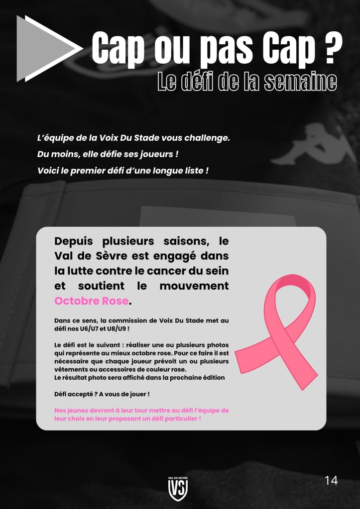 La Voix du Stade N°2 - P14