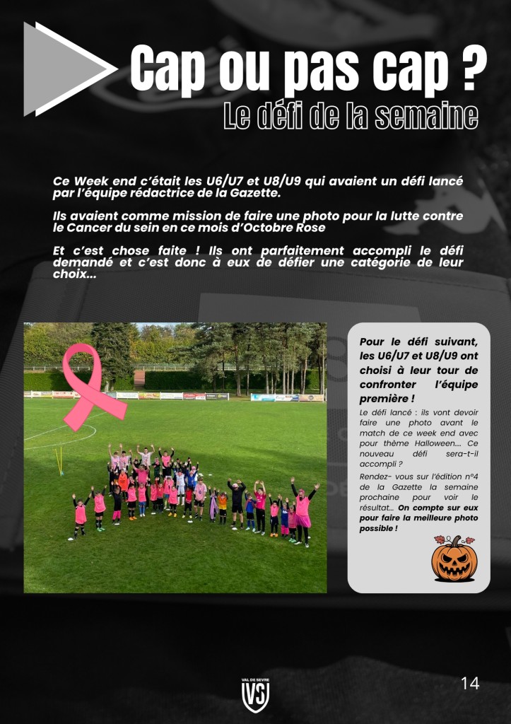 La Voix du Stade N°3 - P14