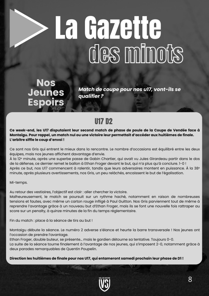 La Voix du Stade N°12 - P8