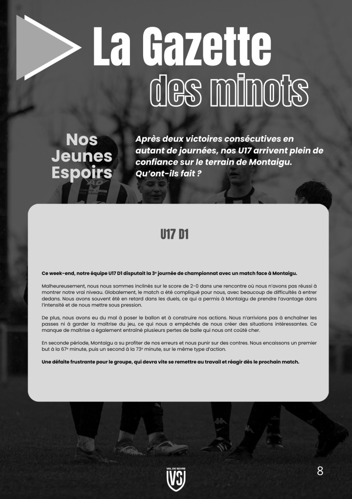 La Voix du Stade N°15 - P8