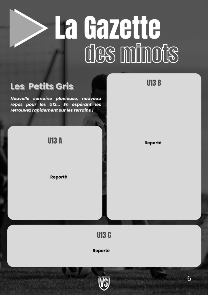 La Voix du Stade N°16 - P6