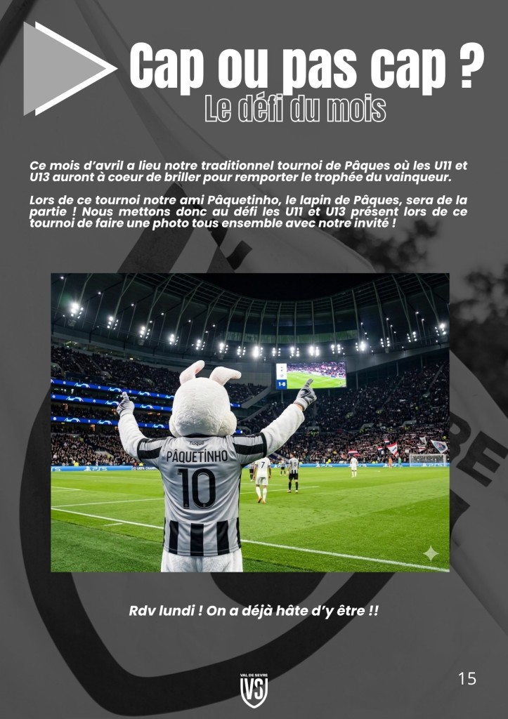 La Voix du Stade N°18 - P15